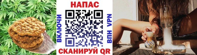 Canna-Cookies конопля  Сланцы 