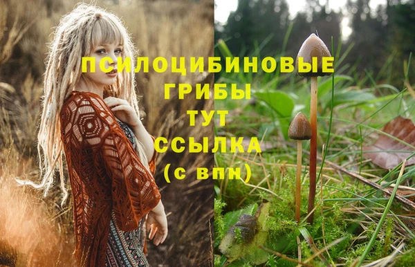 прущие грибы Арсеньев