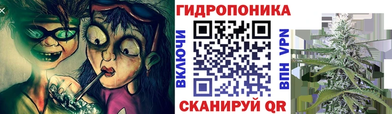 Бошки Шишки Bruce Banner  Сланцы 